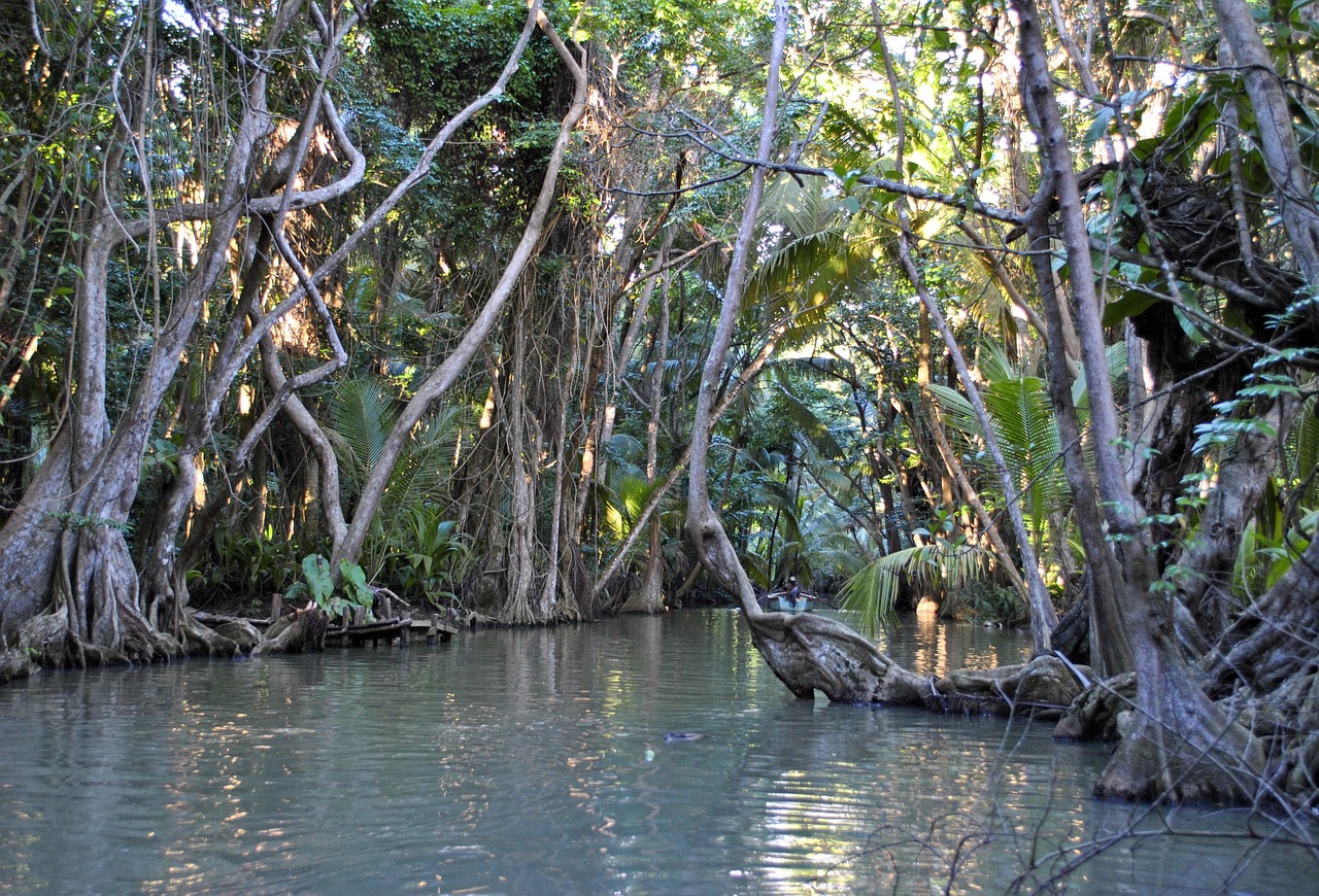 Indian River in Dominica © Nici Keil auf Pixabay