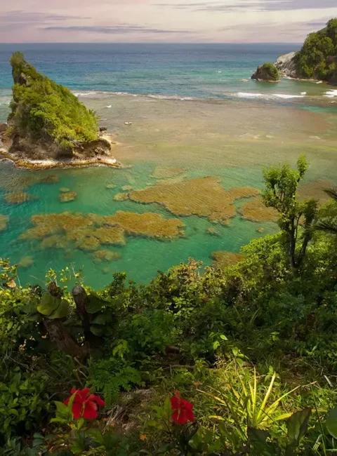 Dominica - Vulkaninsel mit idealen Tauchmöglichkeiten