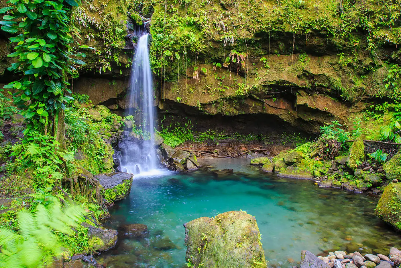 Morne Trois Pitons Nationalpark, Emerald Pool © AdobeStock - Juancat