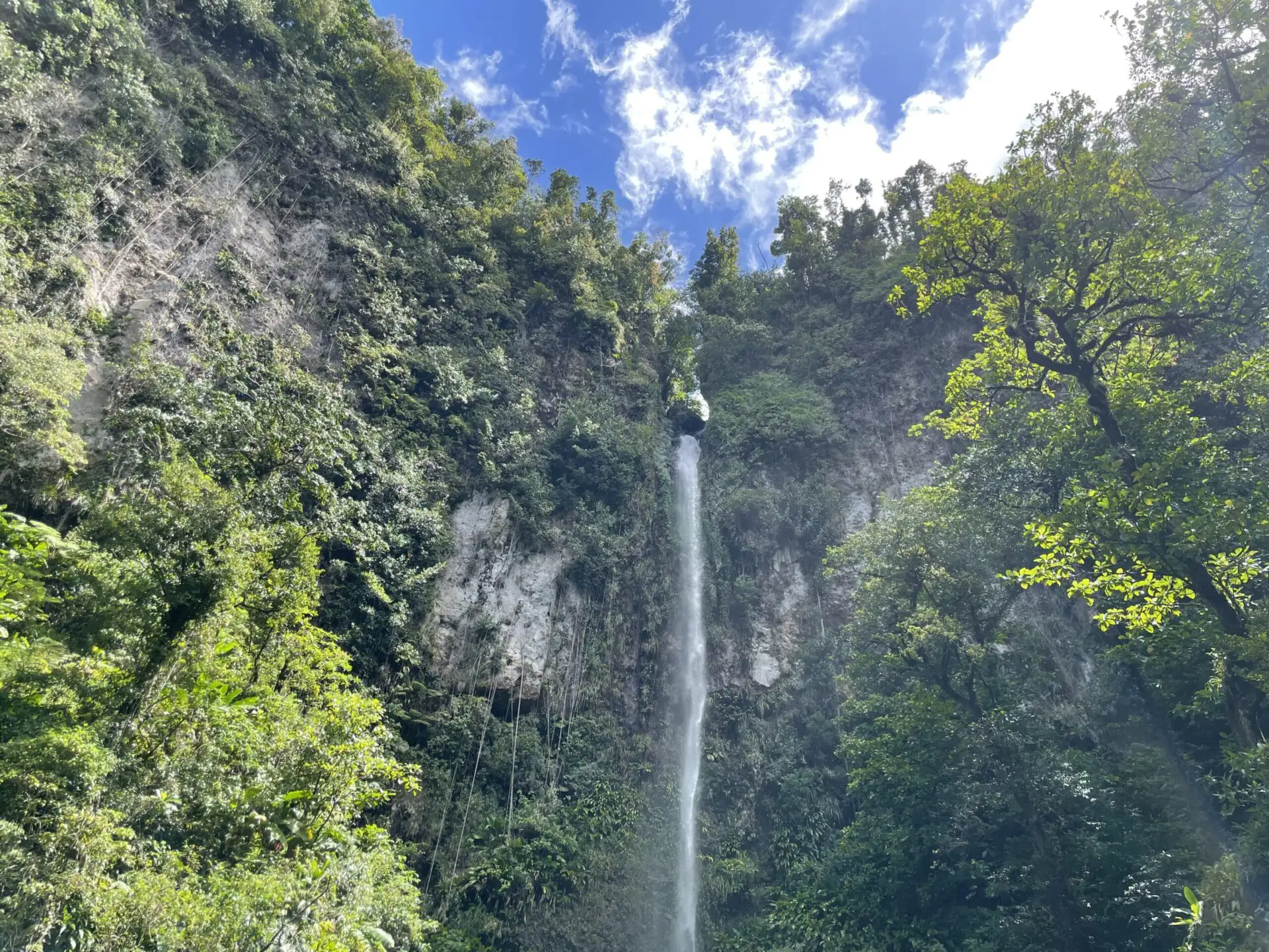 Wasserfälle auf Dominica © Elisabeth Papst